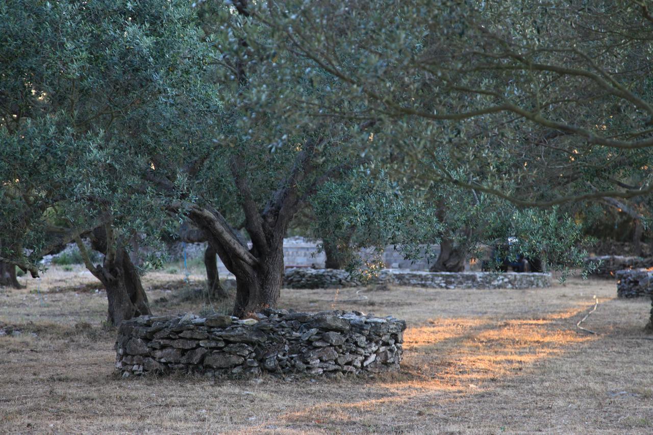 A Loghja Di Cavallo Morto Bonifacio  Kültér fotó