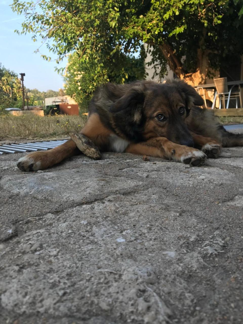 A Loghja Di Cavallo Morto Bonifacio  Kültér fotó