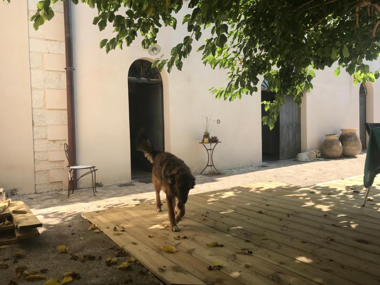 A Loghja Di Cavallo Morto Bonifacio  Kültér fotó